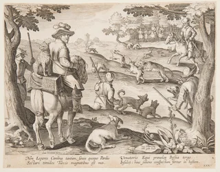 Chasse au Lapin