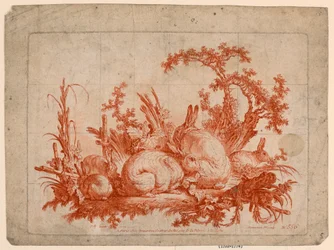 Famille de lapins