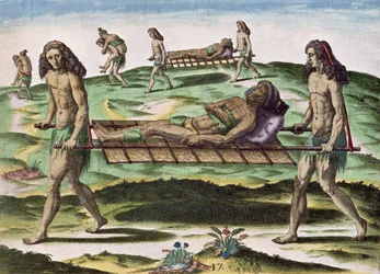 Hermaphrodites transportant les blessés, de 