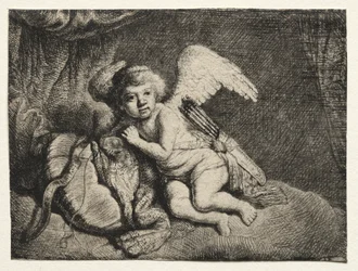 Cupidon au repos