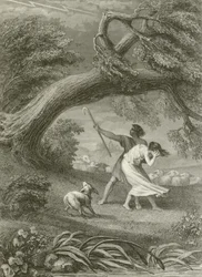 Le Chêne et Le Roseau