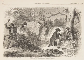 Noël – Récolte de verdure