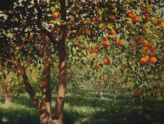 Silence sous les oranges II, 2012