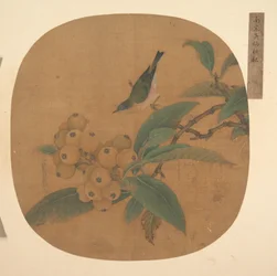 Oiseau sur un loquat