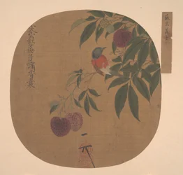 Oiseau sur une branche de litchi