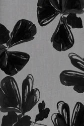 Fleurs noires abstraites