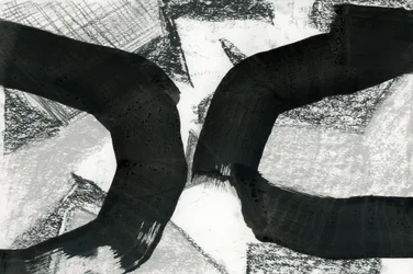 Courbes noires abstraites