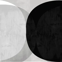 Courbes abstraites noires et blanches
