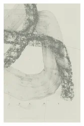 Marquages abstraits gris