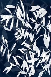 Feuilles de la Marine (abstraites)