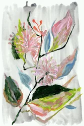Fleurs roses abstraites