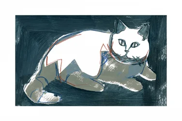Chat blanc artistique
