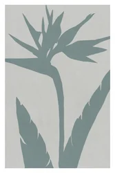 Silhouette d