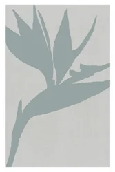 Silhouette d