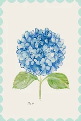 Illustration d