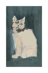 Le regard curieux du chat