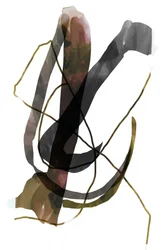 Flux organique sombre