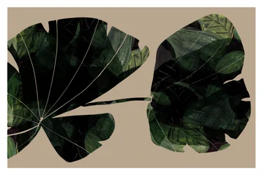 Feuilles tropicales sombres