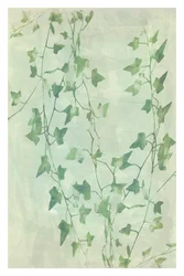 De délicates vrilles de lierre vert