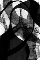 Courbes noires dynamiques