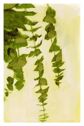 Feuilles vertes ondulantes