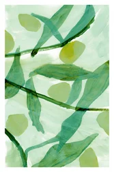Légumes verts frais