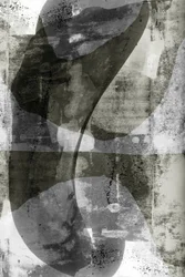 Formes monochromes fluides