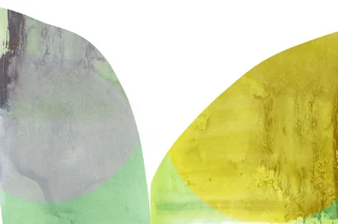 Formes organiques fluides