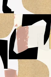 Collage géométrique et organique