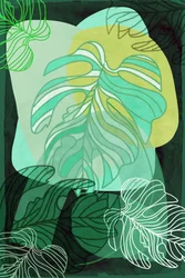 Monstera bio