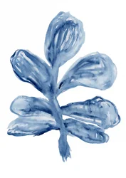 Aquarelle botanique Indigo