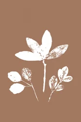 Feuilles contrastées