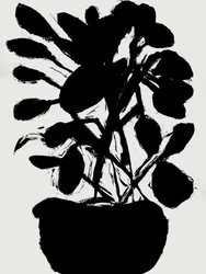 Plante en pot minimaliste