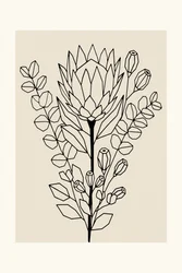 Protea et eucalyptus minimalistes