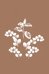 Feuilles blanches minimalistes