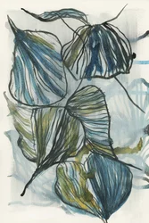 Feuilles bleues bio