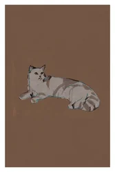 Chat gris détendu