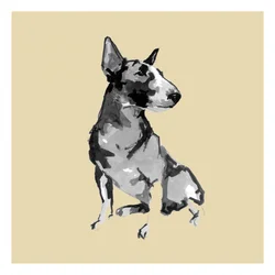Bull Terrier assis