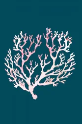 Corail rose pâle