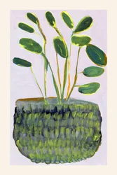 Plante en pot aux couleurs vives