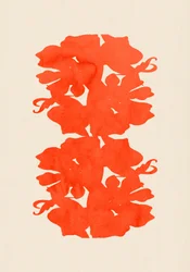 Fleurs d