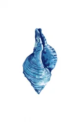 Aquarelle « Coquillage bleu »