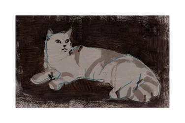 Un chat blanc au repos