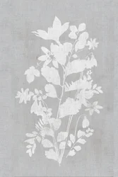 Silhouette florale blanche