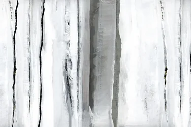 Abstraction de la Forêt Blanche