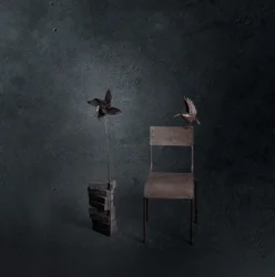 Oiseau sombre, chaise vide