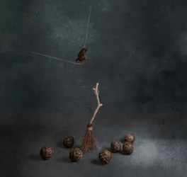 Balai magique et oiseau volant