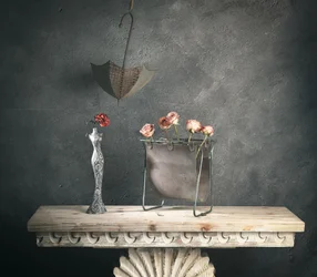 Roses rustiques et parapluie