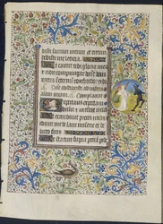 Feuille d