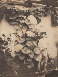 Garçon avec une vigne de citrouille,1854 (photo)